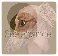 Seelenwinde Banner